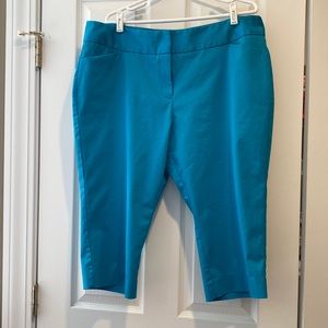 Bright, fun Worthington petal pushers